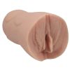 Signature Ultraskyn Stroker Pocket Pussy Bridgette B-Vanilla