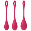 Satisfyer Yoni 1-Red