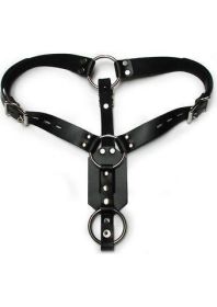 Anal Plug Harness with Cock Ring Black - KL635